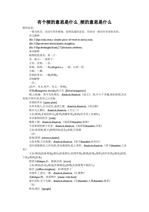 有个梗的意思是什么_梗的意思是什么