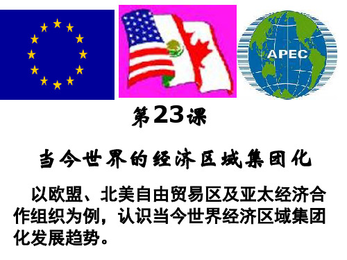 高中历史必修2《世界经济的全球化趋势第23课 世界经济的区域集团化》440人教PPT课件