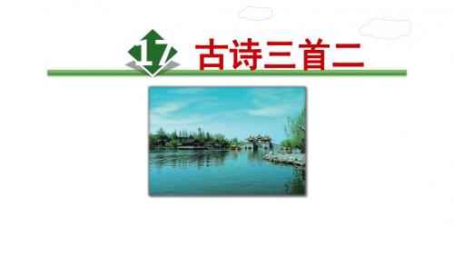 人教部编语文三年级上册17.古诗三首《饮湖上初晴后雨》(优质课件)