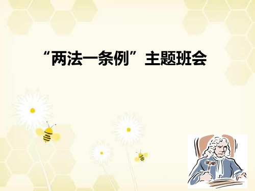 两法一条例班会ppt课件