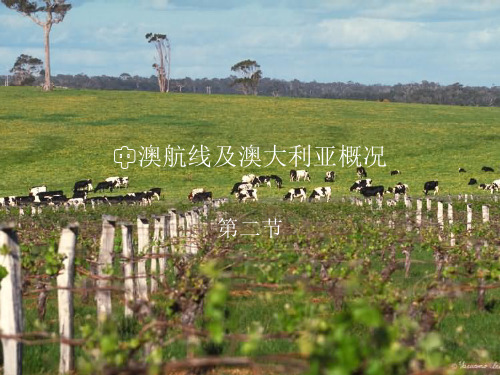 中澳航线及澳大利亚概况