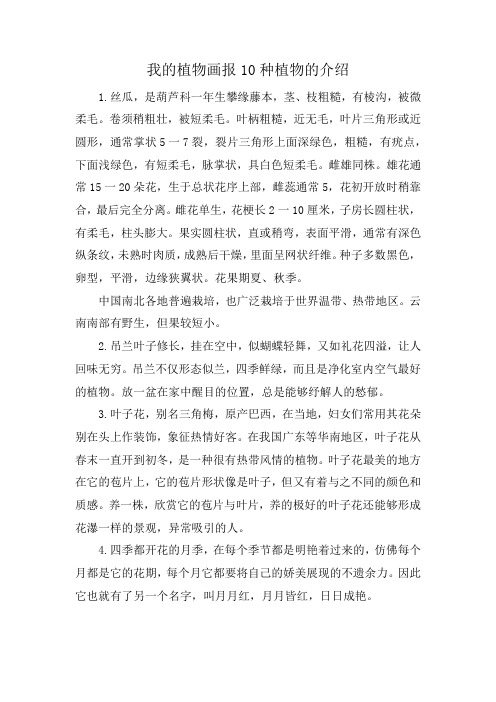 我的植物画报10种植物的介绍
