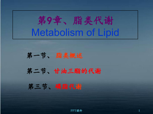 微生物学 脂类代谢  ppt课件