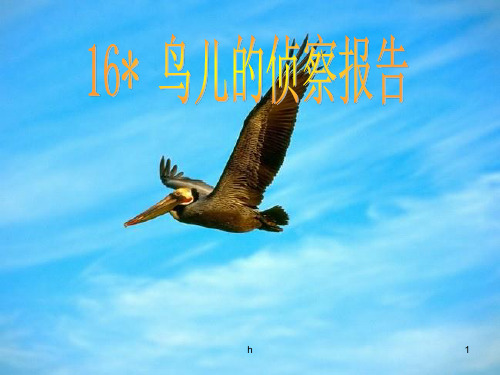 [三年级语文]鸟儿的侦察报告