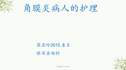 角膜炎病人的护理课件