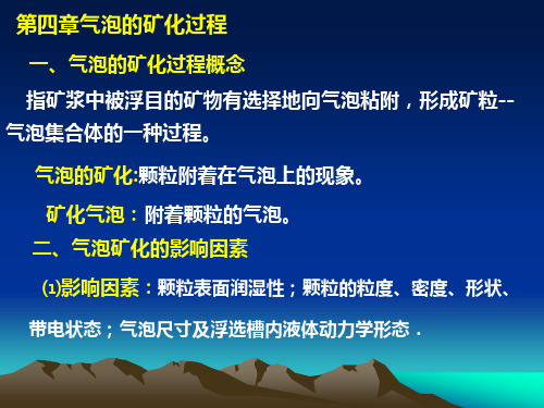 选矿学课件浮选第四章气泡矿化