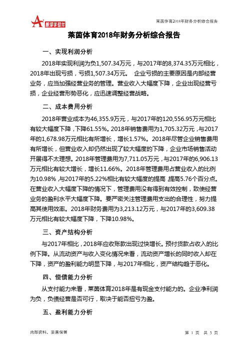 莱茵体育2018年财务分析结论报告-智泽华