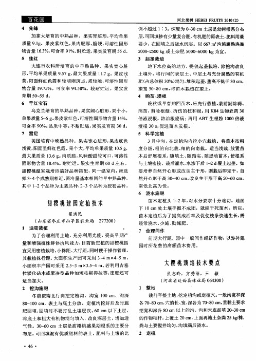 甜樱桃建园定植技术