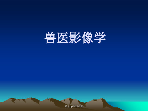 兽医影像学绪论PPT课件