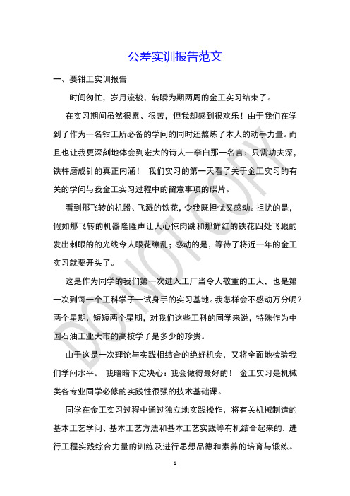 公差实训报告范文