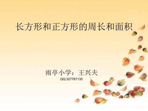 长方形和正方形的周长和面积复习