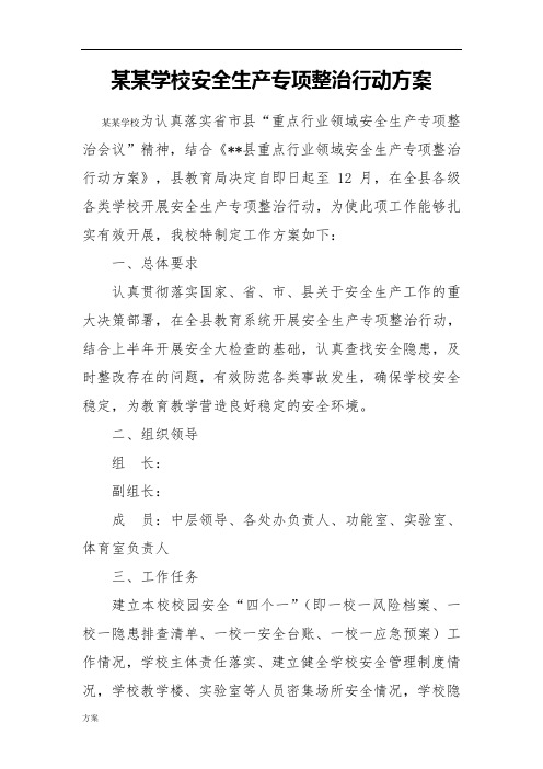 某某学校安全生产专项整治行动解决方案.doc