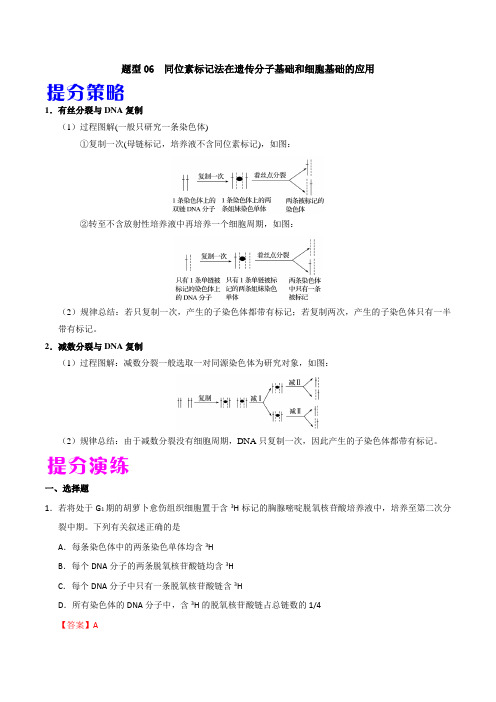  2020年高考生物提分策略题型06 同位素标记法在遗传分子基础和细胞基础的应用(含答案解析).doc