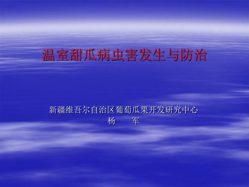 温室甜瓜病虫害发生危害情况分析