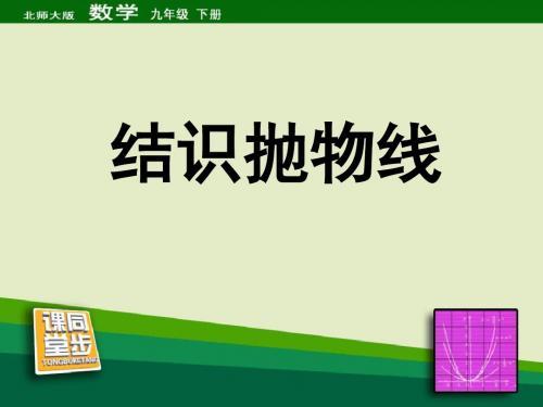 《结识抛物线》二次函数PPT优秀课件3