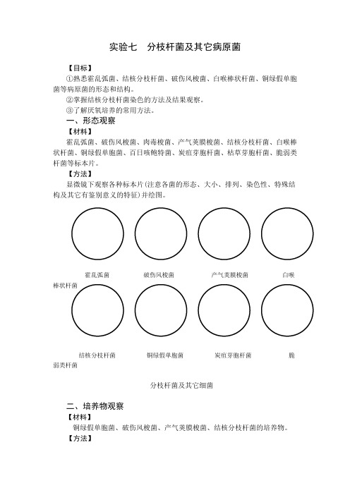 分枝杆菌及其它病原菌