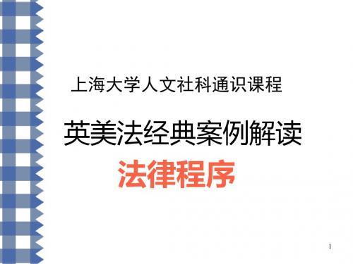 ppt6法律程序分析