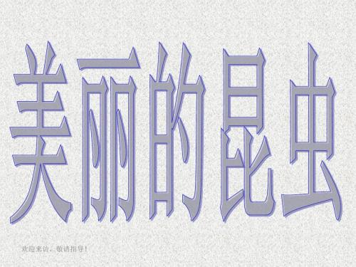 湘美版小学美术二年级上册美丽的昆虫-PPT课件