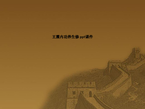 内功养生修 SS