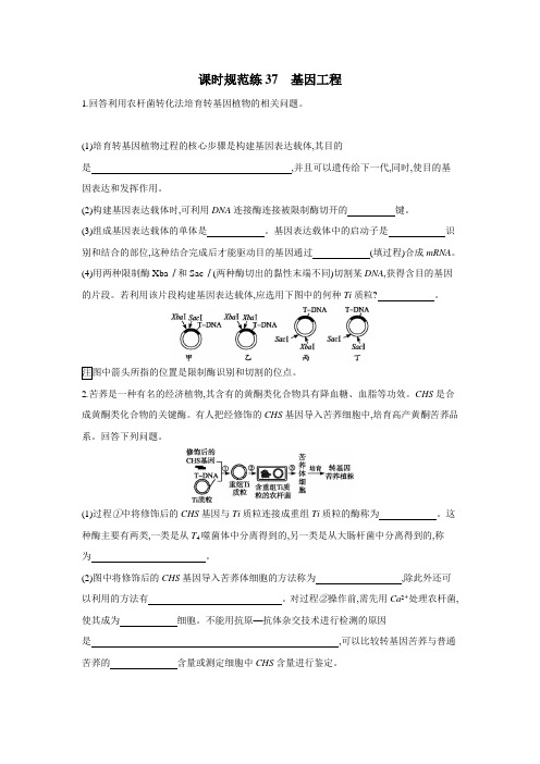 2019高考总复习优化设计1轮生物人教课时规范练37 基因工程(附答案)$848268
