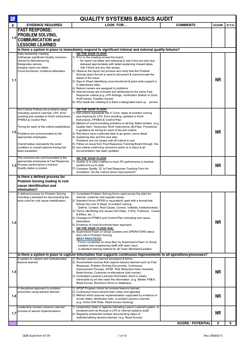 GM_QSB_2009_Audit