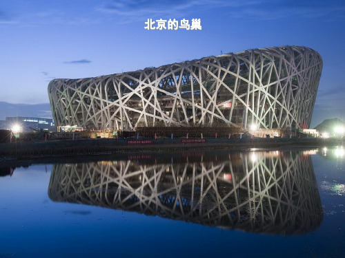 搭支架(苏教版科学五年级下)