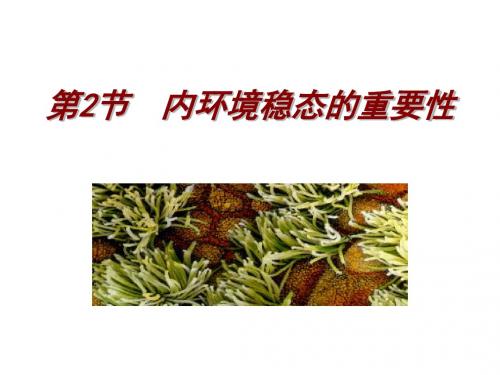 必修三1.2内环境稳态的重要性(兰祥工作室)