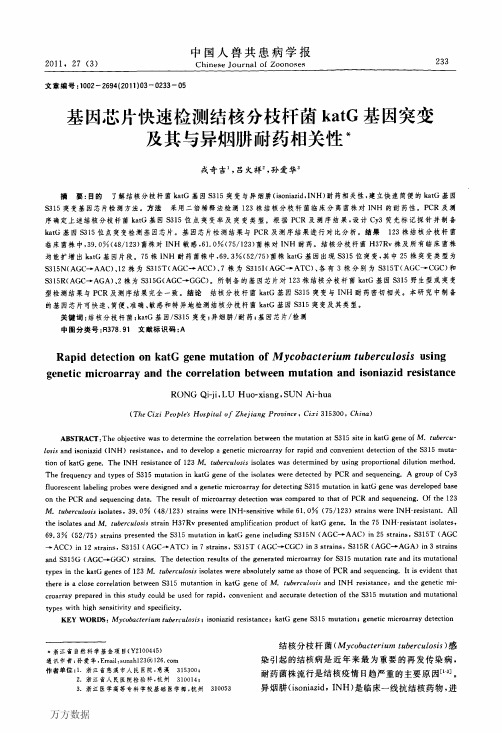 基因芯片快速检测结核分枝杆菌katG基因突变及其与异烟肼耐药相关性