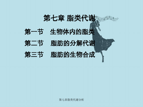 第七章脂类代谢分析