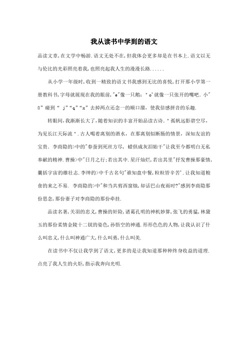 我从读书中学到的语文_初中初二作文500字