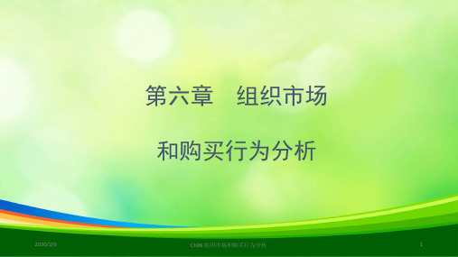 组织市场和购买行为分析(ppt 33页)