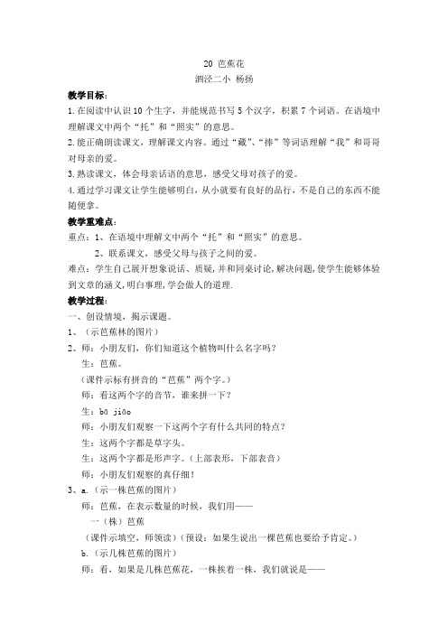 20、芭蕉花