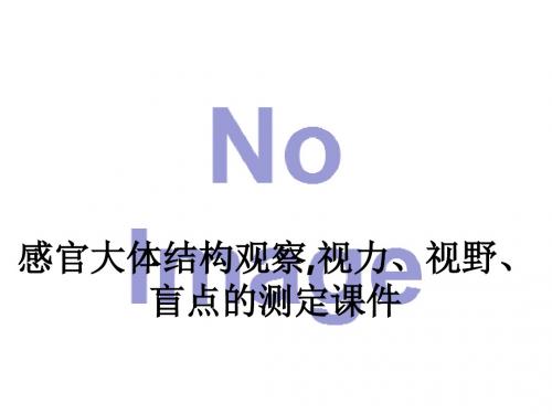 感官大体结构观察,视力、视野、盲点的测定ppt课件