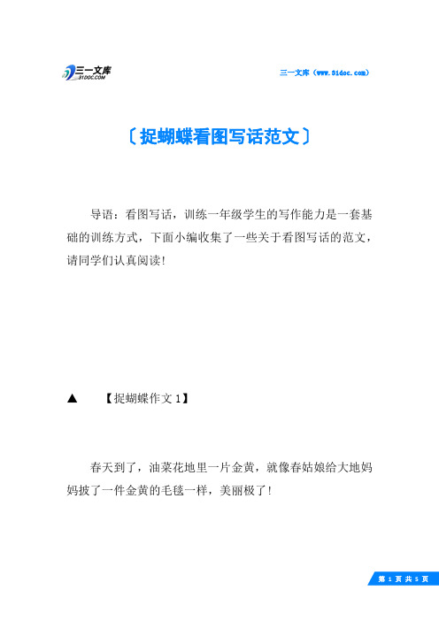 捉蝴蝶看图写话范文
