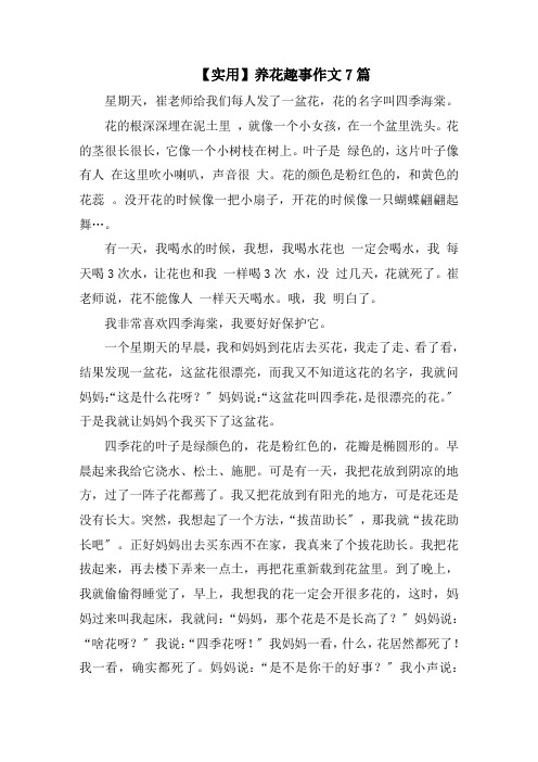 养花趣事作文7篇范文精选