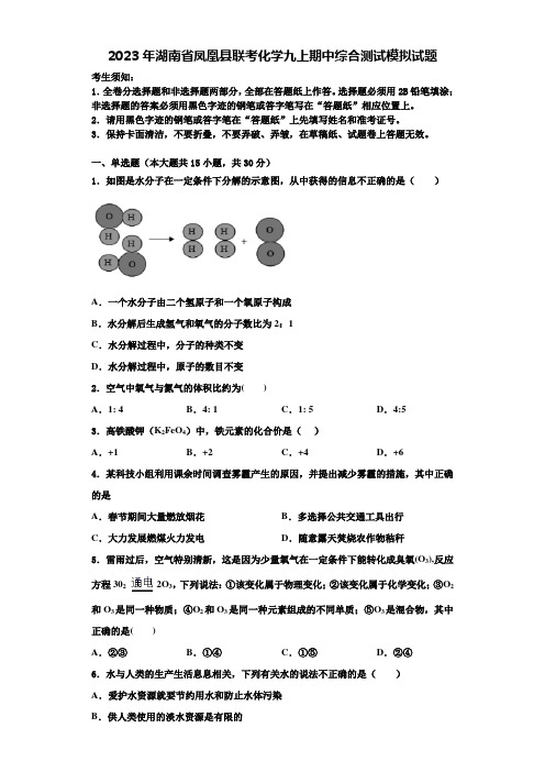 2023年湖南省凤凰县联考化学九上期中综合测试模拟试题含解析