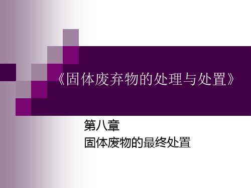 固体废物的最终处置