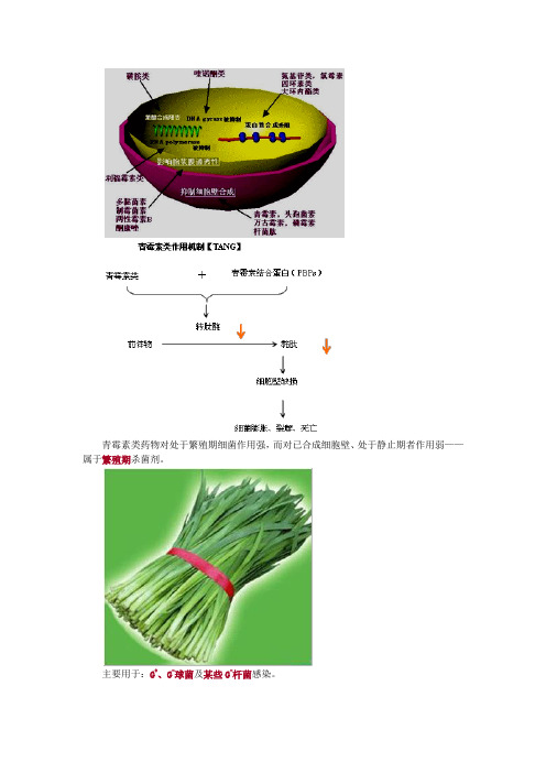 青霉素类