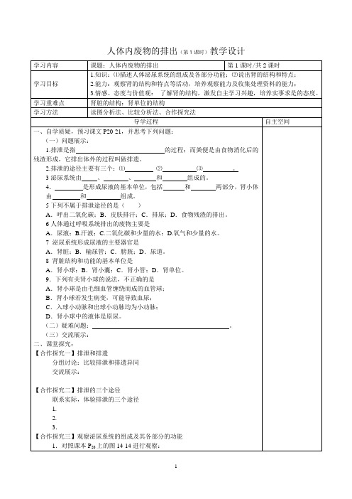 苏科版生物八年级上册 6.15.2 人体内废物的排出 学案 
