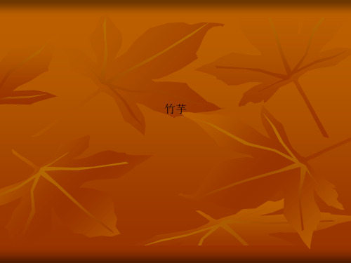 竹芋