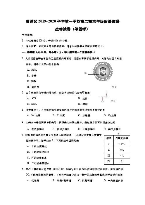 上海市黄浦区2020年高二高三第一学期期末(一模)学科质量检测生物试题及答案(逐题精解版)