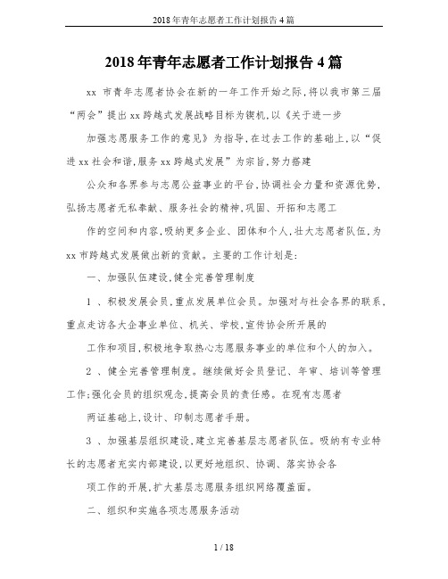 2018年青年志愿者工作计划报告4篇
