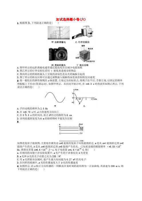 (浙江选考)2019届高考物理二轮复习 加试选择题小卷6