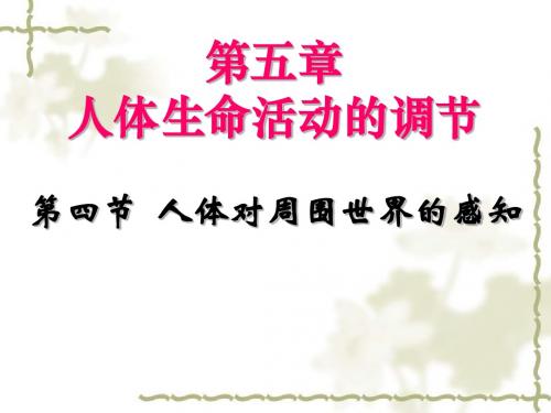 人体对周围世界的感知