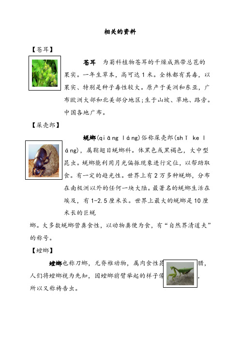 人教部编版二年级语文下册11我是一只小虫子(相关资料)