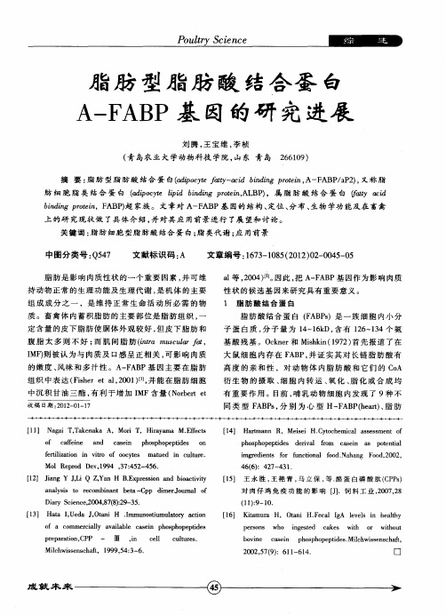 脂肪型脂肪酸结合蛋白A-FABP基因的研究进展