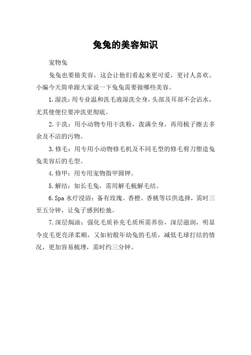 兔兔的美容知识