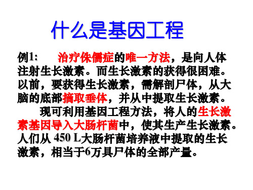 基因工程简介1240页