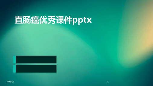 2024年度直肠癌优秀课件pptx