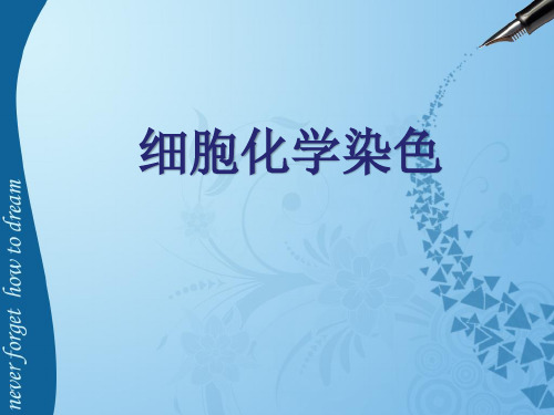 08细胞化学染色检验
